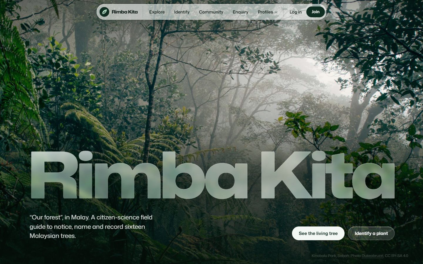 The Rimba Kita home page with the frosted glass title over the rainforest