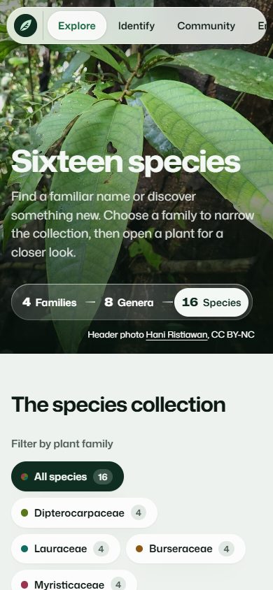 The species collection at phone width, with the glass menu as a scrolling capsule